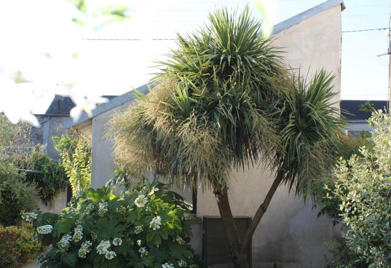 Duplex Confort Et Jardin Charmant Nantes Exteriér fotografie